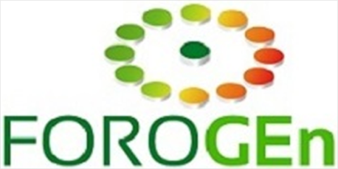 Forogen 2018 analizará la transición ecológica, la gestión energética municipal y el almacenamiento de energía
