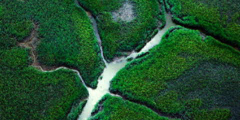 CDP vuelve a reconocer a Naturgy como líder mundial por su acción frente al cambio climático