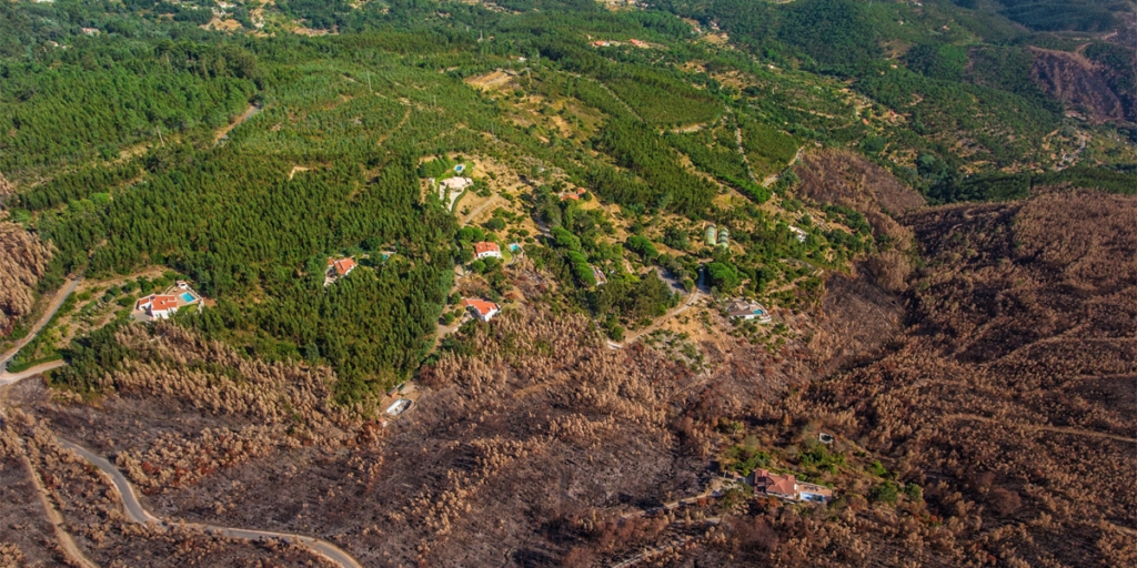 La CE aprueba un plan de 320 millones para apoyar instalaciones de energía de biomasa cerca de los bosques en riesgo de incendios en Portugal