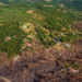 La CE aprueba un plan de 320 millones para apoyar instalaciones de biomasa cerca de los bosques en riesgo de incendios en Portugal