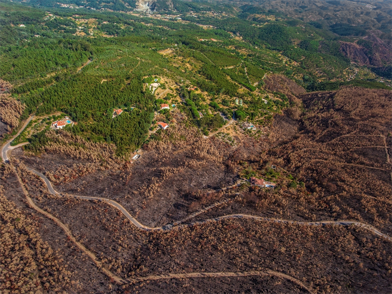 La CE aprueba un plan de 320 millones para apoyar instalaciones de energía de biomasa cerca de los bosques en riesgo de incendios en Portugal