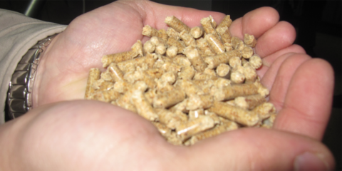 Aragón convoca subvenciones para fomentar el uso de energías renovables en los hogares