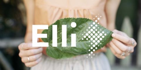 El Grupo Volkswagen crea una nueva compañía energética bajo el nombre de Elli