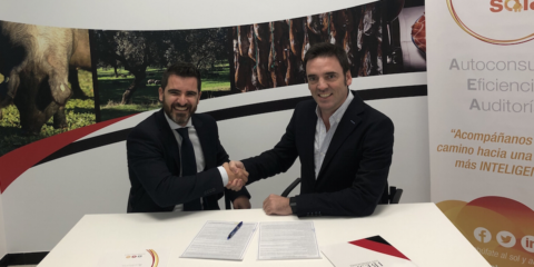 Ibesa instalará 120 paneles solares para producir el 56% de su energía