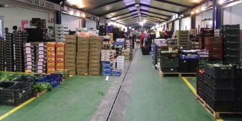 Mercamálaga ha logrado reducir un 15% sus costes energéticos gracias al plan de ahorro