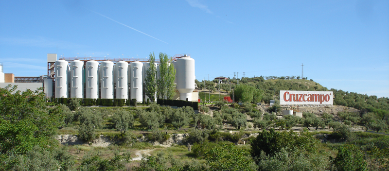 Está previsto que la planta de biomasa se inaugure este mismo año.