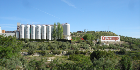 La planta de biomasa de Jaén que inaugurará Heineken este año ahorrará 2500 t de CO2 a la atmósfera