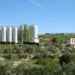 La planta de biomasa de Jaén que inaugurará Heineken este año ahorrará 2500 t de CO2 a la atmósfera