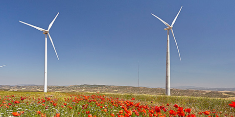 Acciona se hace con un contrato para suministrar energía renovable a Telefónica durante todo el ejercicio