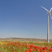 Acciona se hace con un contrato para suministrar energía renovable a Telefónica durante todo el ejercicio