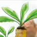 La Plataforma EnerInvest publica la segunda edición de la Guía para la Financiación de Proyectos de Energía Sostenible