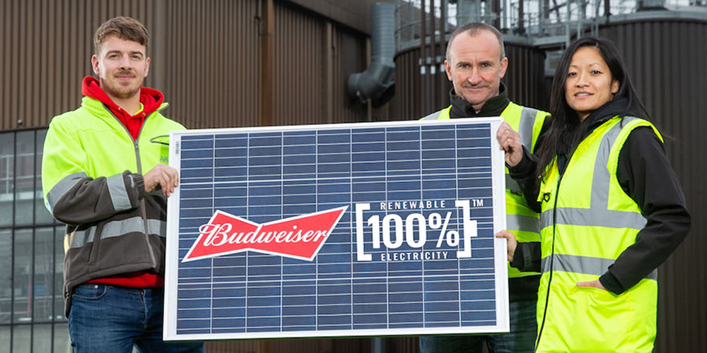 Todas las cervezas Budweiser que se vendan en Reino Unido en 2020 serán elaboradas con electricidad 100% renovable.