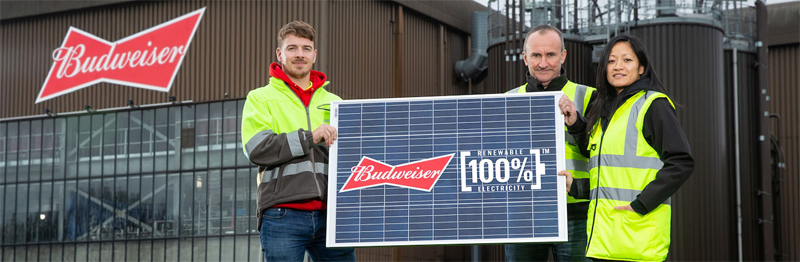 Todas las cervezas Budweiser que se vendan en Reino Unido en 2020 serán elaboradas con electricidad 100% renovable