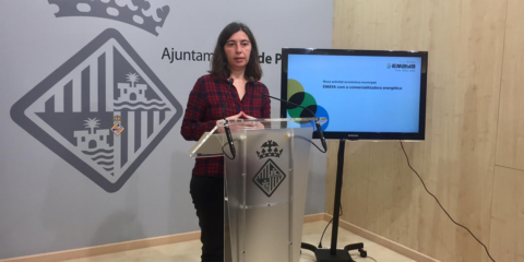 El Ayuntamiento de Palma proyecta una comercializadora municipal de energía con origen renovable