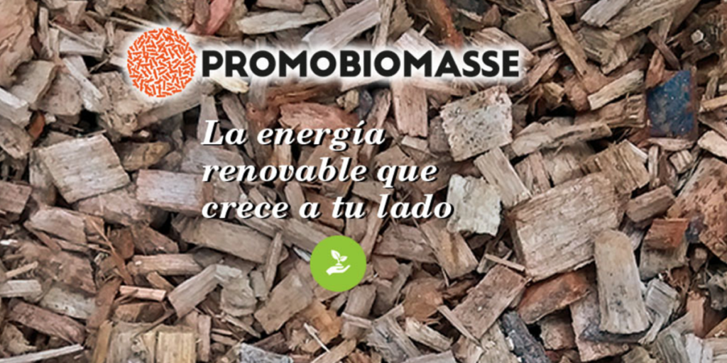 Proyecto PromoBiomasse