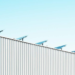 La piscina olímpica de Castellón tendrá 360 paneles fotovoltaicos que motivarán un ahorro de 450.000 euros en 25 años