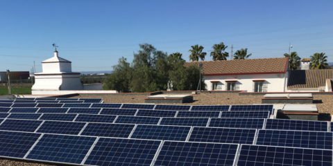 Reuniones y eventos sostenibles con una planta solar de 280 kW en una hacienda del siglo XVIII en Sevilla