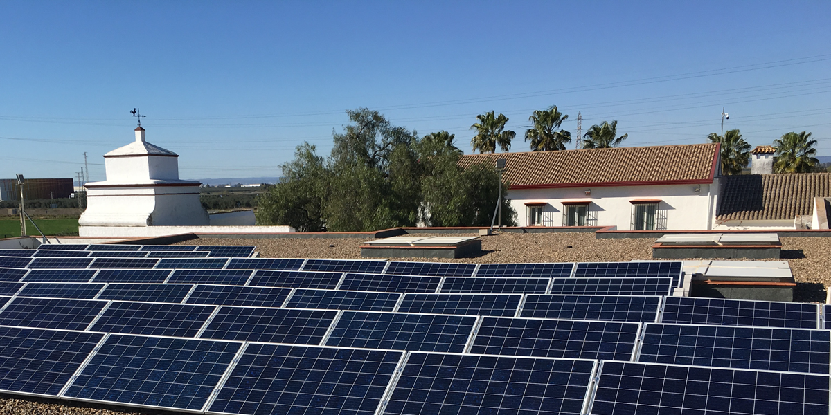 Reuniones y eventos sostenibles con una planta solar de ...