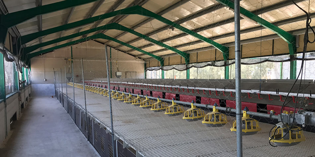 Interior de la granja avícola donde TSO va a montar la instalación de autoconsumo fotovoltaico
