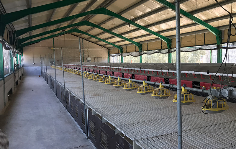 Interior de la granja avícola donde TSO va a montar la instalación de autoconsumo fotovoltaico 