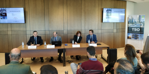 Llega a España una tarifa eléctrica plana que permite el consumo ilimitado de energía solar fotovoltaica