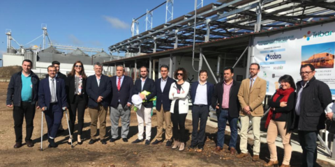 La Universidad de Extremadura desarrolla una planta hibridada que genera energía eléctrica y térmica