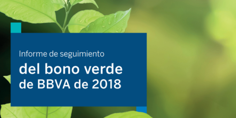 El 100% del bono verde de BBVA se ha destinado a refinanciar proyectos que reducen la huella de carbono