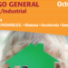 Catálogo general Profesional/Industrial Calefacción y Energías Renovables de Ferroli Octubre 2018