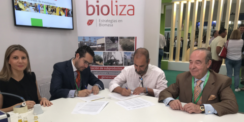 Energía eléctrica y térmica de origen renovable a partir de los residuos generados en el sector oleícola