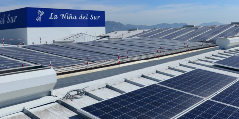 Empresa alimentaria murciana apuesta por el autoconsumo con una instalación fotovoltaica de más de 364 kW