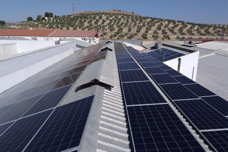 Instalación fotovoltaica sobre la cubierta de la empres Embutidos Toledano, llevada a cabo por Enchufe Solar. 