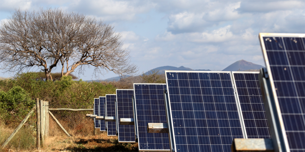 Placas fotovoltaicas.