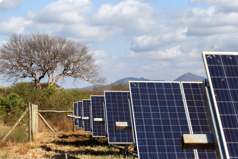 Placas fotovoltaicas.