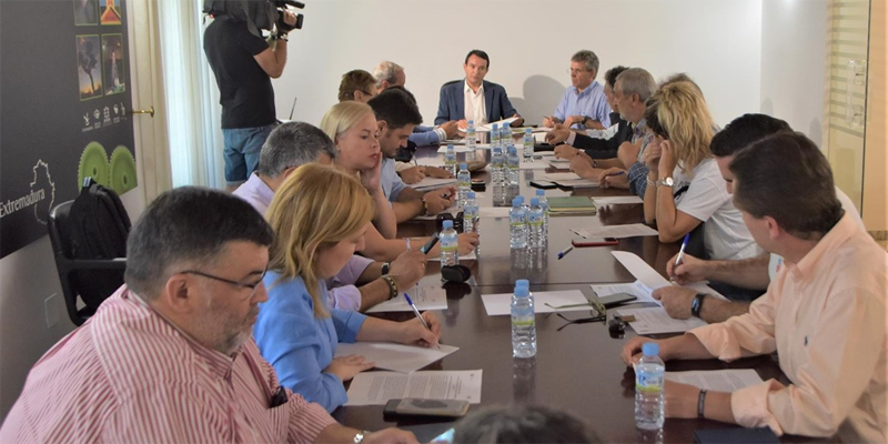 La Comisión Ejecutiva de la FEMPEX apoya el "Acuerdo estratégico para el fomento del autoconsumo eléctrico en Extremadura".