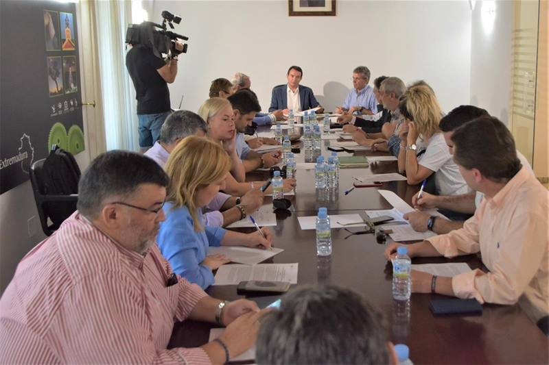 La Comisión Ejecutiva de la FEMPEX apoya el "Acuerdo estratégico para el fomento del autoconsumo eléctrico en Extremadura".