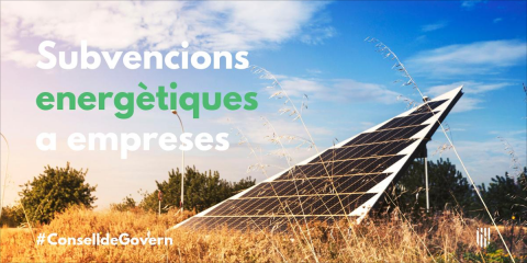 El Gobierno Balear convocará este otoño las ayudas para la eficiencia energética en pymes y grandes industrias