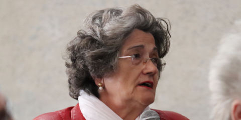 Rosario Heras resulta finalista en el premio europeo Roger Léron por sus investigaciones en energía sostenible