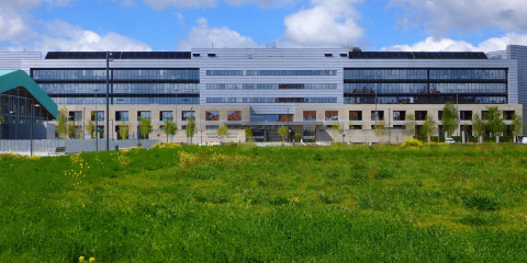 El Gobierno Vasco aprueba la contratación centralizada del suministro de energía eléctrica procedente de fuentes limpias