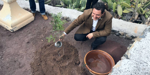 Arona se convierte en uno de los primeros ayuntamientos canarios en comprar energía de origen 100% renovable