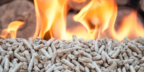 Programa de ayudas a inversiones en instalaciones de aprovechamiento energético de la biomasa en País Vasco