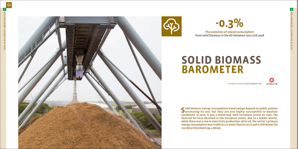 Barómetro EurObserv'ER 2019 de biomasa sólida.