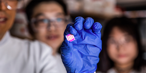 Universidad australiana desarrolla una tecnología solar flexible e imprimible con una mejora del 25% en eficiencia