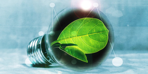 Plan de consultoría y formación para dar impulso a empresas instaladoras en el mercado de la transición energética