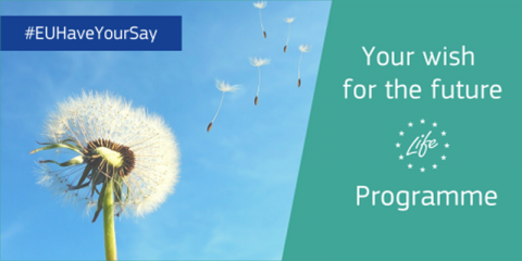 Consulta pública sobre el programa LIFE 2021-2027 que dará continuidad a Energy Challenge of Horizon 2020