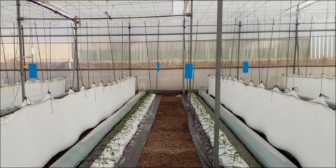 Investigación para mejorar la producción en invernaderos con sistemas pasivos de calefacción y refrigeración