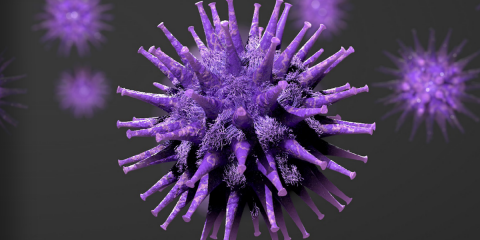 El Gobierno publica una guía de recomendaciones para prevenir la expansión del SARS-COV-2 en climatización y ventilación