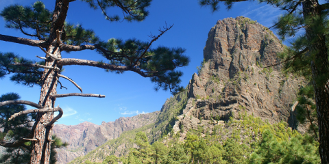 La isla de La Palma sondea el interés de la población por la futura comunidad energética