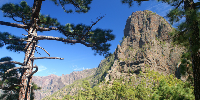 La Palma Renovable publica una encuesta sobre la futura comunidad energética