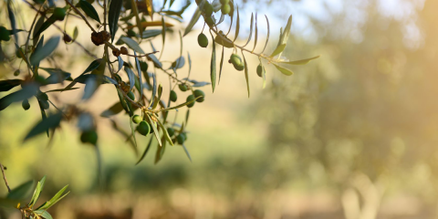 Andalucía conservará el centro de innovación digital creado en el marco de ICT-Biochain