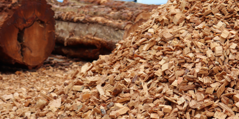 Convocatoria de subvenciones para instalaciones térmicas con biomasa local en Islas Baleares